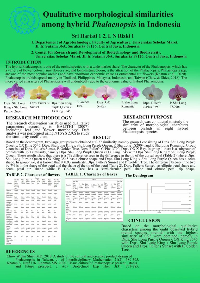 ICSAEX_Media_Presentation_38_001