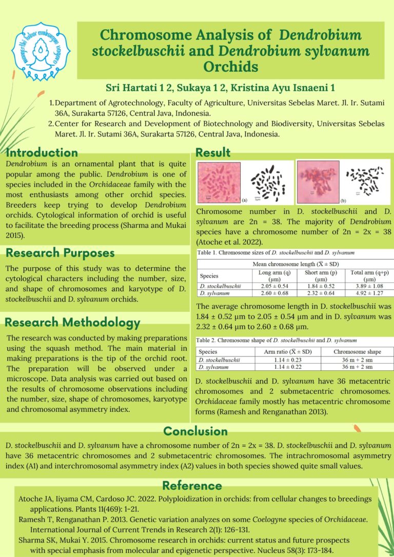 ICSAEX_Media_Presentation_39_001